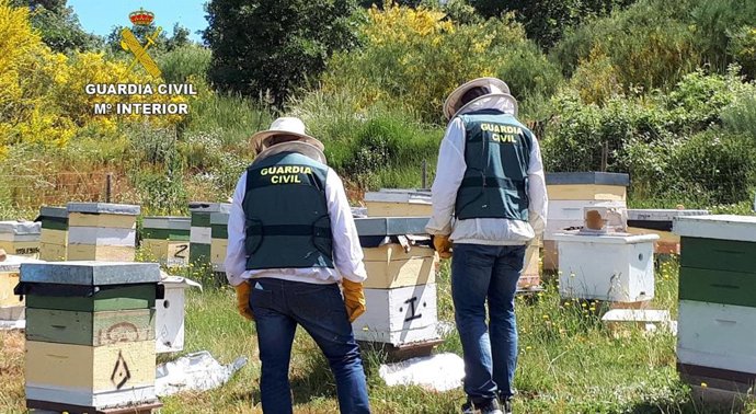 La Guardia Civil inspecciona laos asentamientos apícolas en busca de las colmenas robadas.