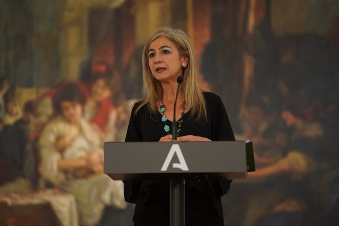 La consejera de Cultura y Patrimonio Histórico, Patricia del Pozo, en rueda de prensa en el Museo de Bellas Artes de Sevilla.