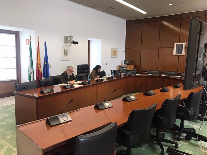 Imagen de archivo de una reunión de la Junta de Portavoces del Parlamento andaluz celebrada de forma telemática y presidida por la presidenta de la Cámara, Marta Bosquet.