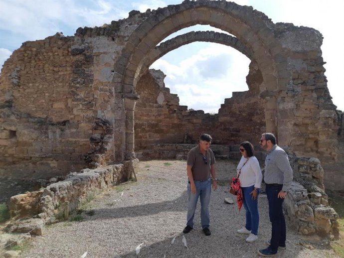 La Viceconsejería de Cultura de C-LM se incorpora al Comité Español del ICOMOS.