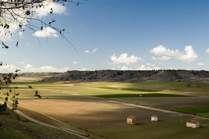 El cerrato palentino.