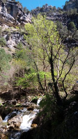 Abren los 14 centros de interpretación y 7 puntos de información ubicados en esp