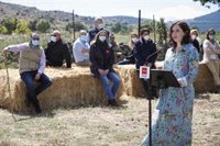 Ayuso apuesta por fomentar el turismo en Madrid "con cabeza" y apela a la responsabilidad individual