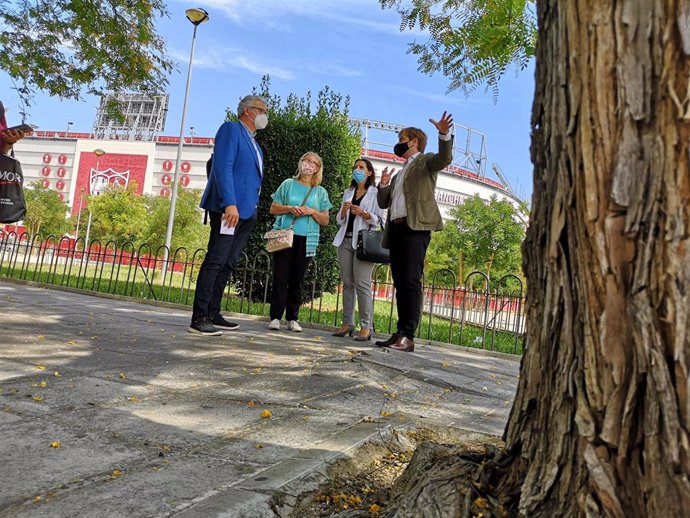 El portavoz adjunto de Cs en el Ayuntamiento de Sevilla, Miguel Ángel Aumesquet, en su visita de la explanada del estadio Ramón Sánchez-Pizjuán.