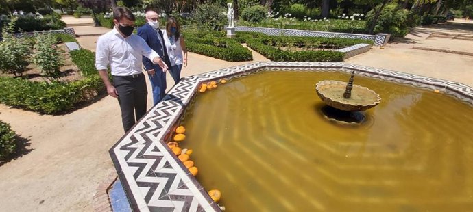 El portavoz del PP en el Ayuntamiento de Sevilla, Beltrán Pérez, señala la suciedad de una fuente del Parque de Maria Luisa. 