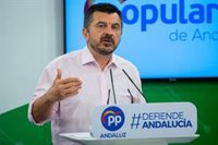 PP-A valora que "por primera vez" en Andalucía se hace "un plan de empleo con total transparencia gracias a Moreno"