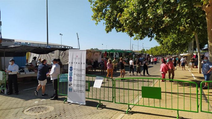 Imagen de este domingo del mercado de El Arenal, dependiente del Ayuntamiento de Córdoba, celebrado este domingo.