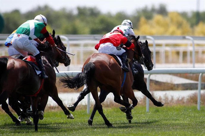 Most Empowered durante el Gran Premio Rheffissimo 