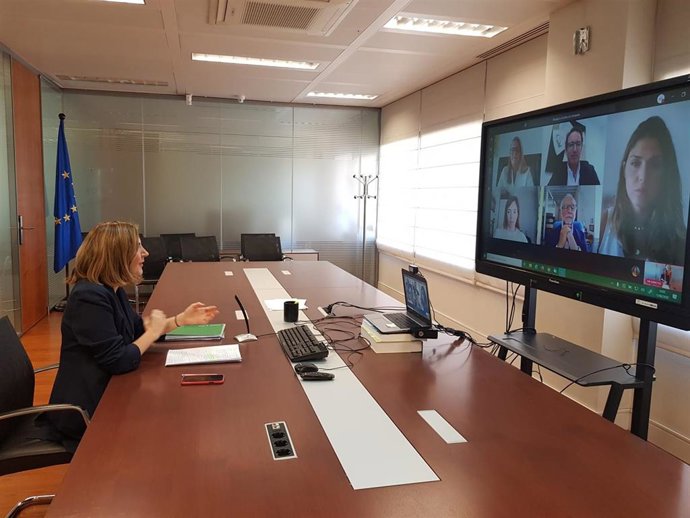 La consejera de Empleo, Rocío Blanco, este lunes durante el encuentro digital organizado por APD Sur. 