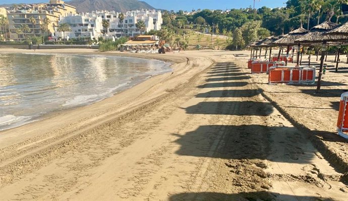 Limpieza de algas invasoras en las playas de Estepona
