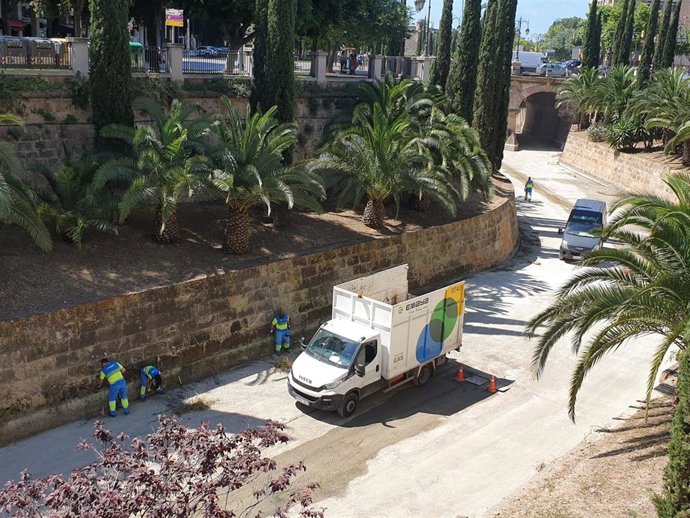 Operarios de Emaya trabajan en la limpieza anual del torrente de Sa Riera.