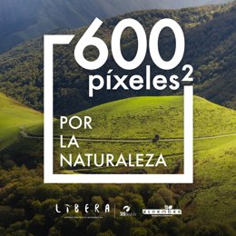 El coronavirus lleva a Proyecto Libera a celebrar de forma virtual '1m2 por la naturaleza', con la campñaa '600 píxeles2' este sábado 13 de junio de 2020