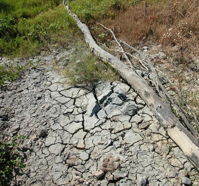 Una imagen de la zona aefectada por el accidente de la mina de Aznalcóllar