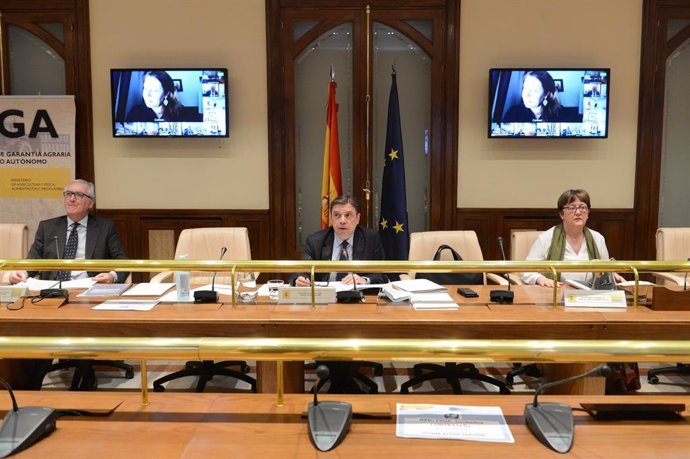 Andalucía ve "crucial" extender el artículo 167 de la OCM al aceite de oliva par