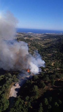 Incendio forestal en Casares (Málaga)