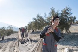 Funcas señala el peso de la agricultura en Andalucía como factor para explicar una menor caída de su PIB. 