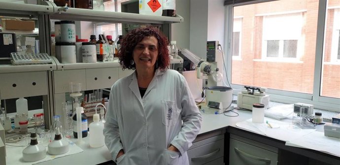 La catedrática del área de Ingeniería Química Beatriz Miguel, profesora de la UPCT desde el año 2000