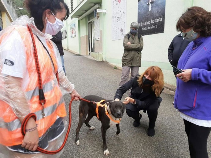 La teniente de alcalde de Agenda 2030, Transición Digital, Deportes y Coordinación Territorial y Metropolitana de Barcelona, Laia Bonet, en su visita el CAACB.