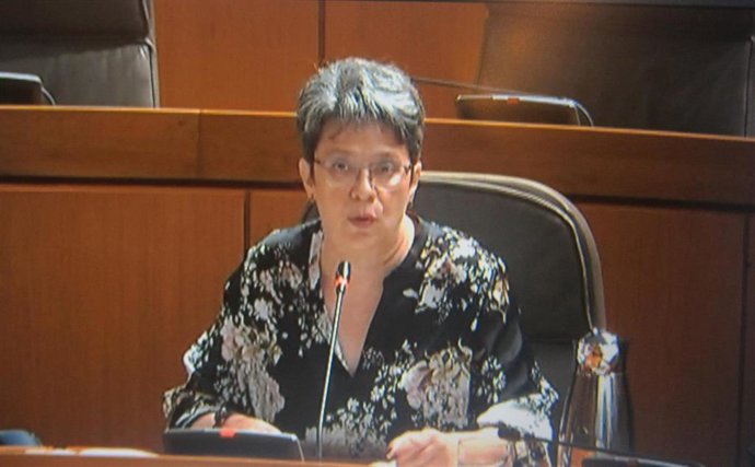 La directora general de Patrimonio Cultural del Gobierno de Aragón, Marisancho Menjón, en las Cortes autonómicas.