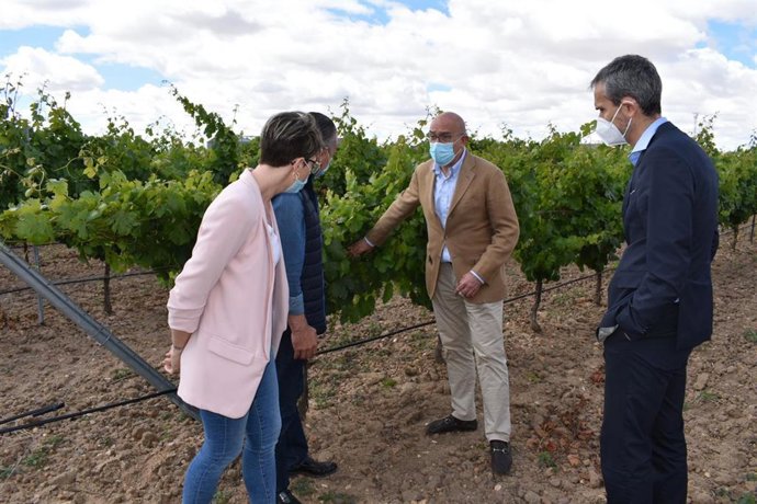 Carnero visita un viñedo de la DO Rueda en Nava del Rey