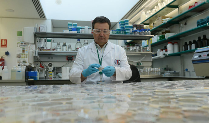 La Junta impulsa la I+D+i