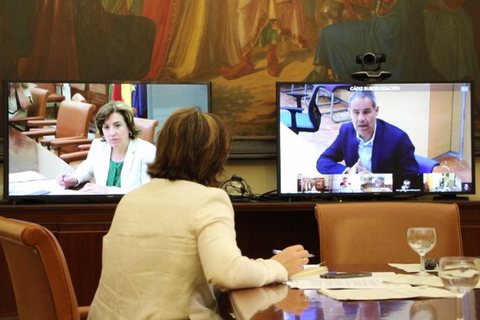 Imagen de la reunión telemática celebrada en la Delegación del Gobierno en Andalucía sobre el protocolo de posibles casos positivos de coronavirus entre inmigrantes. 