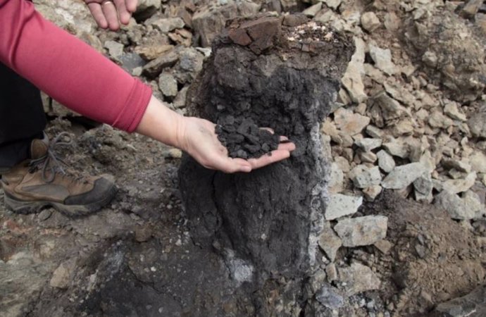 Una combustión masiva de carbón en Siberia causó la mayor extinción