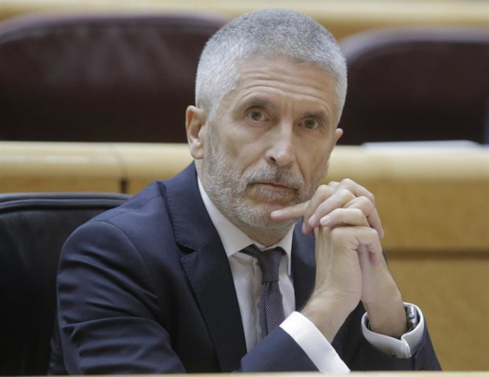 El ministro del Interior, Fernando Grande-Marlaska, durante la sesión de control al Gobierno en el Senado