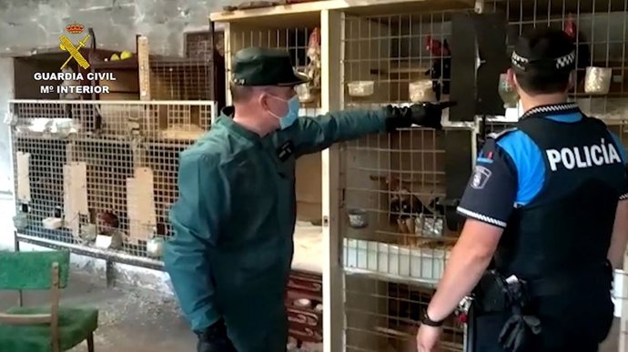 Vídeo de la noticia