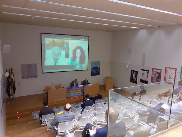 Imagen de la reunión telemática sobre Compra Pública de Innovación para la Teleasistencia, celebrada por los consejeros Rogelio Velasco y Rocío Ruiz. 