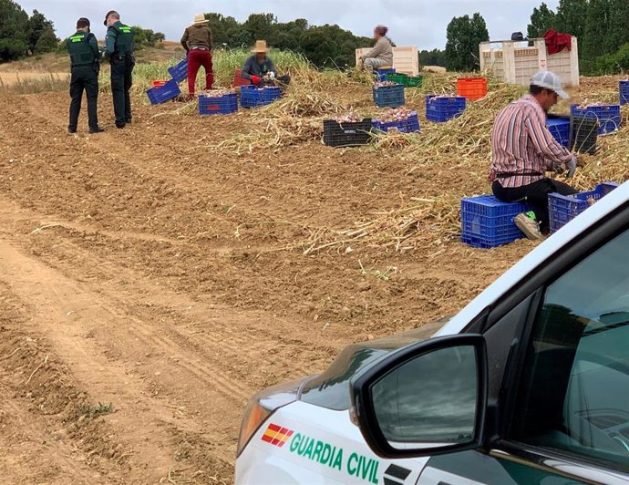 Inspección de la Guardia Civil en la provincia de Zamora.