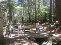 El Gobierno aragonés rebaja a los 12 años la edad para participar en colonias con pernocta este verano