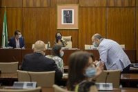 El Parlamento reactivará la comisión de la Faffe y los grupos de trabajo