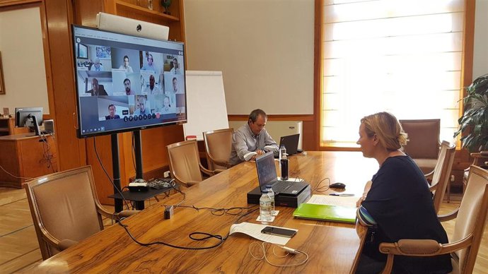 La consejera de Economía, Marta Gastón, en videoconferencia