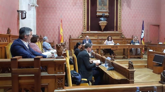 La presidenta del Consell de Mallorca, Catalina Cladera, durante su reunión con los cónsules de los países emisores de turistas.