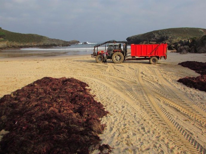 Rural.- Álvarez defiende el arranque de ocle como un recurso más para la flota regulado con criterios de sostenibilidad