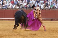 Andalucía aumentará al 50% el aforo de espectáculos taurinos tras el estado de alarma