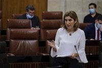 Junta traslada reclamaciones de feriantes son competencia del Gobierno y PSOE sostiene que "se han quitado de en medio"