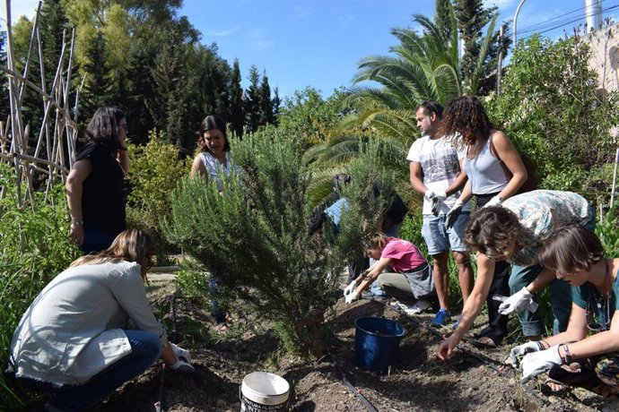 Huerto social en La Noria de la Diputacion de Málaga 