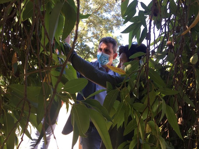 Huelva.- La Junta ofrece 127 instalaciones de uso público en espacios naturales 