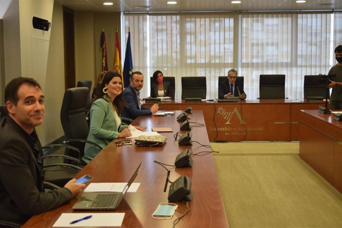 Imagen de la Comisión de Reactivación Económica y Social, y de Impacto de la Covid19 de la Asamblea regional