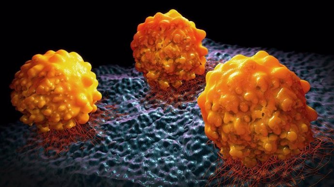 Los investigadores encuentran un nuevo objetivo terapéutico para el cáncer de pá