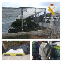 Dos detenidos por amenazar a una familia y prender fuego a su invernadero en El Ejido (Almería)