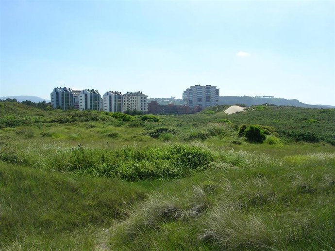 Dunas de El Espartal. 