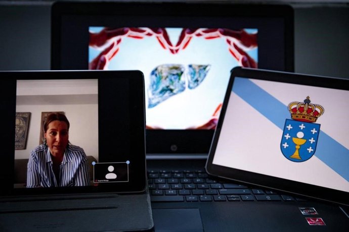 La candidata de Ciudadanos a la Xunta, Beatriz Pino, se reúne por videoconferencia con la Asociación Española para el Estudio del Hígado.