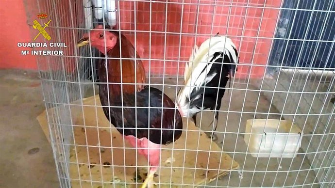 Vídeo de la noticia