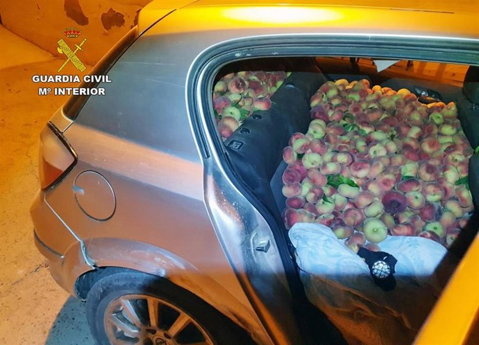 La Guardia Civil recupera en Cieza más de media tonelada de melocotones robados