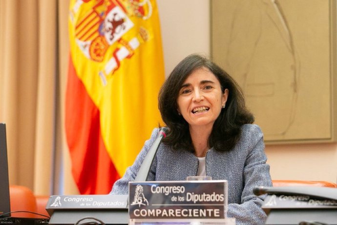 La presidenta de la Asociación de Empresas con Gran Consumo de Energía (AEGE), Teresa Rasero Guerrero, comparece en el Congreso