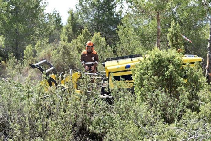 Personal de Divalterra realiza labores de mantenimiento
