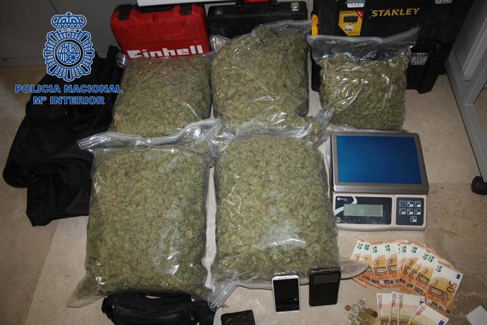 Marihuana intervenida